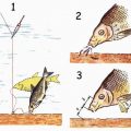 Поплавки для зимней рыбалки, их виды, огрузка и оснастка